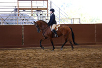 Class 129 Hunter Seat Equitation Not to Jump - AATR 19 Yrs/Over