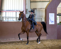Class 119 A/HA/AA Walk-Trot Country English Pleasure - Riders 10 & Under