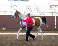 Class 249 HA Yearling Filly Breeders Sweepstakes