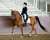Class 27 - Arabian English Show Hack Open