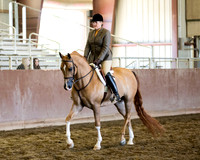 Class 21 - Arabian Hunter Pl ATR Choice/Elite