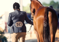 Showmanship - AATH 19 Yrs & Older