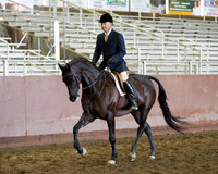 Class 7 - HA/AA Hunter Pl Geldings