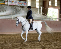 Class 30 - Arabian Hunter Pl Walk/Trot ATR