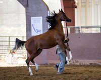 R316_ThursAM_5782 copy