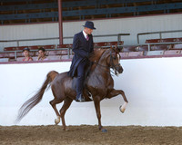 Class 124 Arabian Park - Open