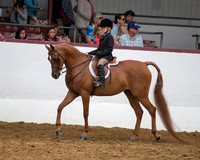 Class 235A A/HA/AA Walk-Trot Hunt/Saddle Seat Eq - 10 & Under