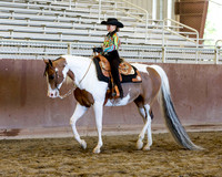 Class 66 - A/HA/AA Walk/Jog Western Pl Riders 10 & Under