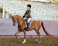 Class 97 - Arabian Hunter Pl JTR 13 & Under