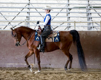 Class 32 - Arabian Western Pl AAOTR 36-54