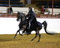 Class 260 Arabian Mounted Costume