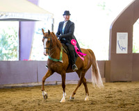 R316_WedPM_3341 copy