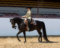 Class 44 HA Western Pl - JOTR Years & Under