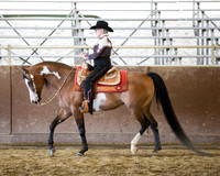 Class 29 HA/AA Western Pleasure Choice/Elite ATR