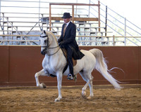 English/Country/ShowHack/Saddle Seat