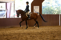 Class 237 Hunter Seat Eq JTR - 14-18 Yrs Old