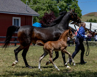 ShermanRanch0524_3413