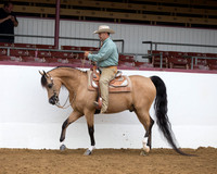 Class 140 HA Western Pl - Gentlemen to Ride