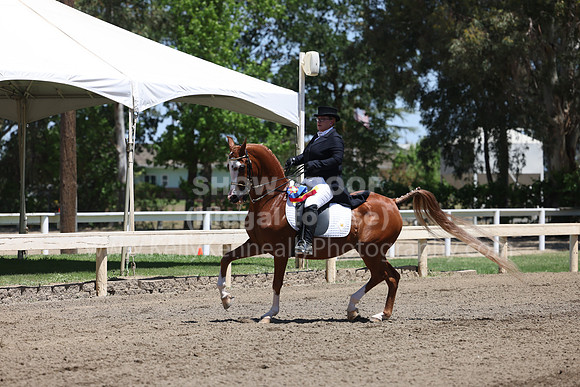 DAHA22_Sun_3524