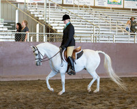 Class 53 - HA/AA Hunter Pl Walk/Trot ATR