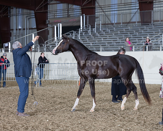 AHANC22_R5_Wed_0677