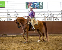 Class 287 HA Western Pleasure - Jr Horse 5 & Under