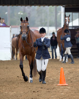 Class 231 Youth Showmanship