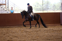 Class 229 HA Hunter Pl - Jr Horse 5 & Under