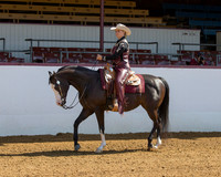 Class 113 HA Western Pl - Open