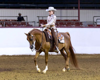 Class 131 Arabian Western Pl - AATR Choice/Elite