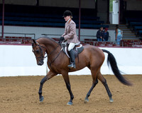 Class 138 HA Hunter Pl - Ladies to Ride