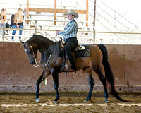 Class 48 - Arabian Western Pl Walk/Trot ATR