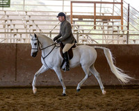 Class 11 - Arabian Hunter Pl Novice Horse
