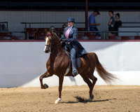 Class 75 HA Country English Pl - AATR Choice/Elite