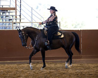 Class 132 HA Western Pleasure - AAOTR 50 Yrs/Over
