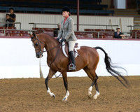 Class 129 Arabian Hunter Pl - AAOTR 19-49