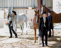 Showmanship - JTH 11-13 Yrs Old