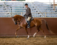 Class 72 HA Hunter Pleasure - Gentlemen to Ride
