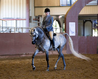 Class 8 Arabian Hunter Pleasure - JOTR 14 - 18 Yrs Old