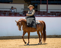 Class 103 HA Ladies Sidesaddle - ATR