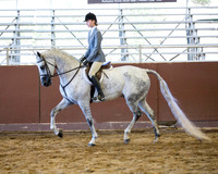Class 333 HA Hunter Pleasure - JOTR 14-18 Yrs.
