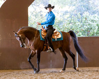 Class 86 - Arabian Western Pl Championship