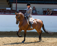 Class 286 HA Hunter Pl
