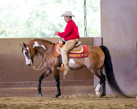 Class 22 HA/AA Western Pl Ladies & Gentlemen to Ride