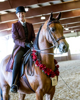 Class 87 - Arabian Country Pl Championship AATR
