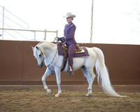 Class 284 Arabian Western Pleasure - AAOTR 19-49 Yrs Old