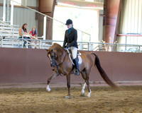 Class 105 Arabian Hunter Pleasure - Open