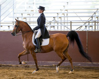 Class 110 Arabian English Show Hack - ATR