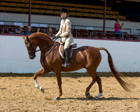 Class 306 HA Hunter Pl - AATR Choice/Elite