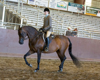 Class 120B - Arabian Hunter Pl Championship JTR 14-18